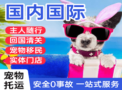 南昌昌北机场快运国际宠物托运 【国